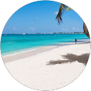 Tracy C. profile picture